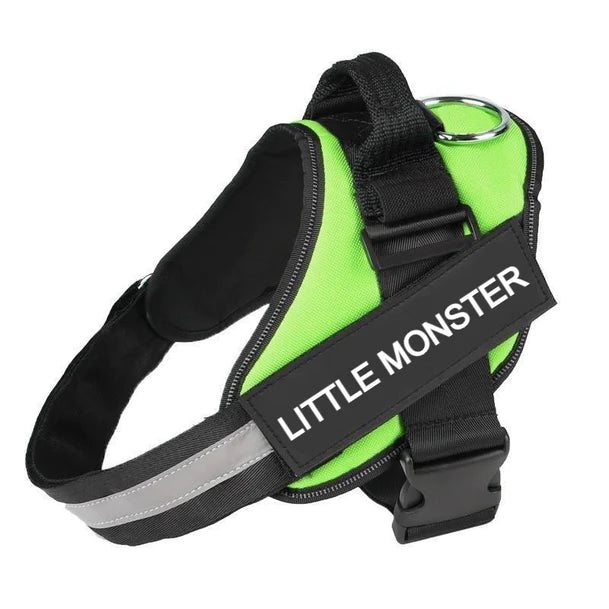 Custom No Pull Dog Harness with Name and Phone Number