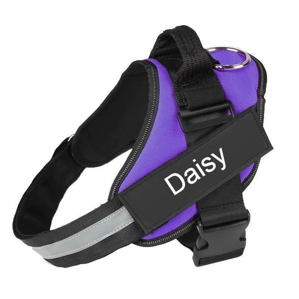 Custom No Pull Dog Harness with Name and Phone Number